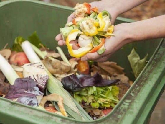 zero waste